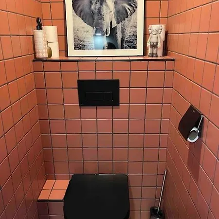 Appartement Jolie Maison En Duplex Avec Balcon A *